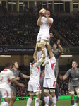 SX32215 Rugby Wales vs Tonga.jpg